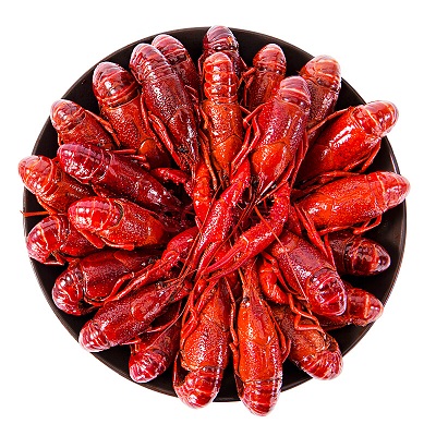 端午节礼品-小龙虾