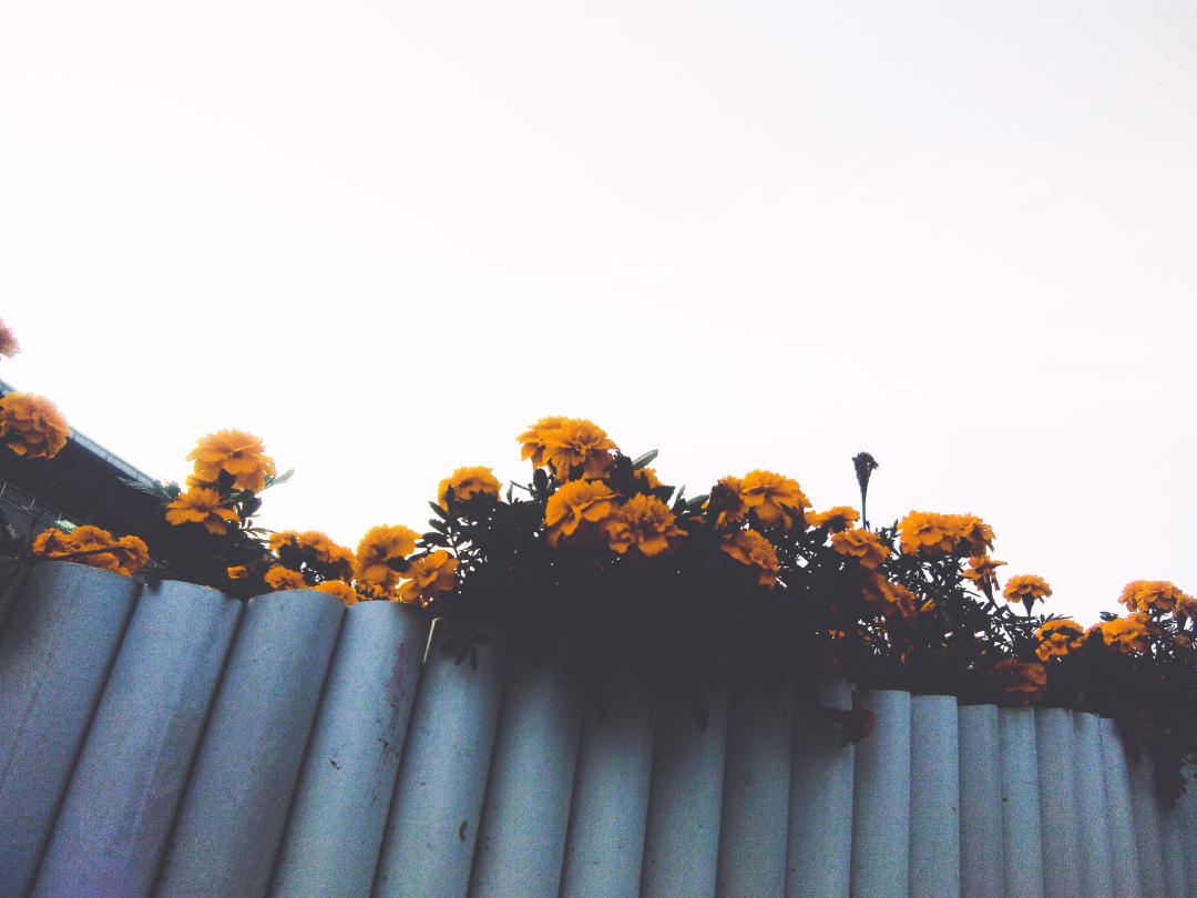 大小单双平台：企业为什么需要注重仪式感？