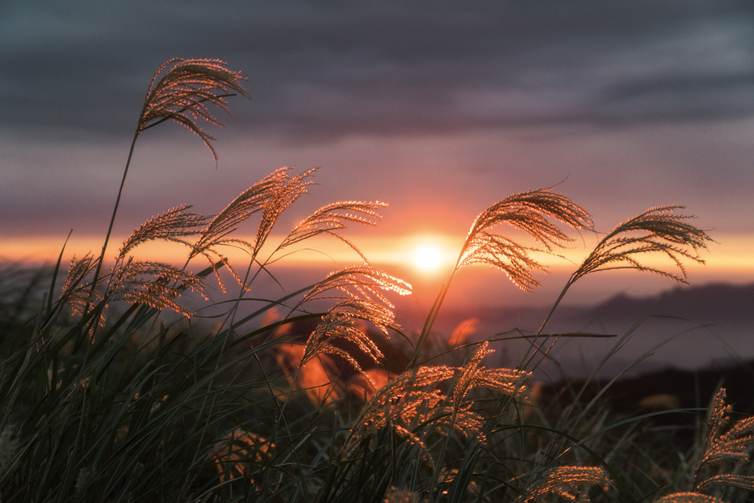 公司福利平台：绩效管理如何灵活运用