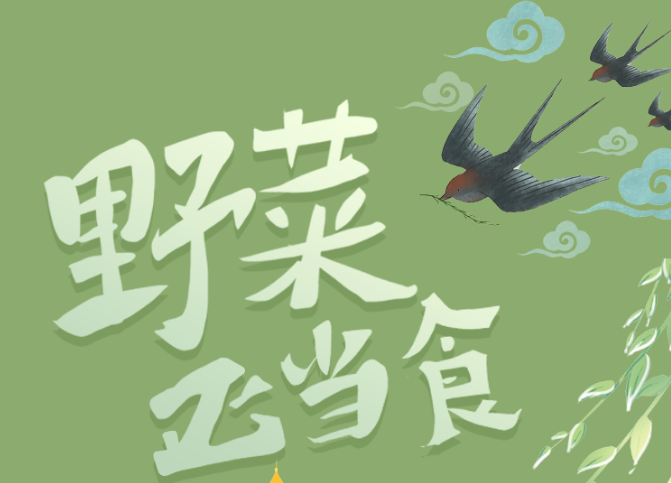 福利plus|野菜正当“食”，当心别采错了！