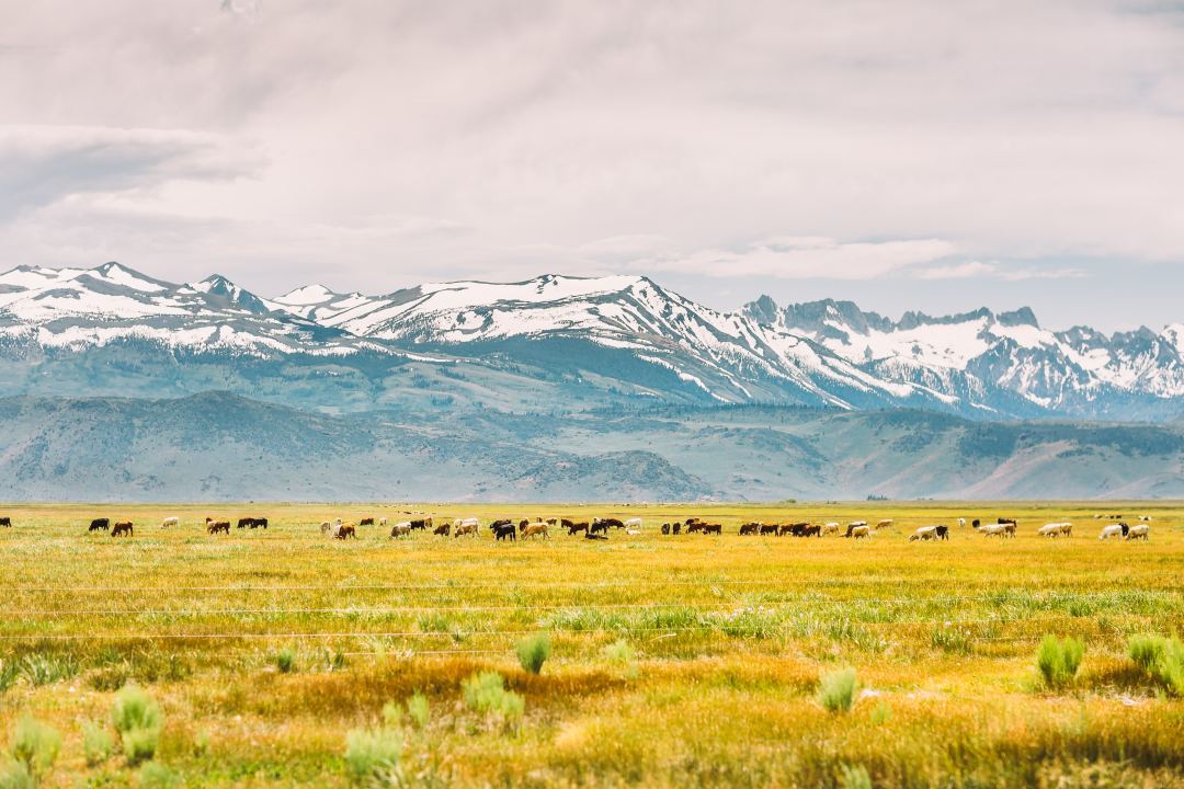 福利plus助力企业轻松搞掂员工福利