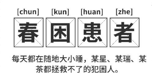 福利plus|打工人续命指南：提神零食清单+5分钟暴汗操，一键领取！